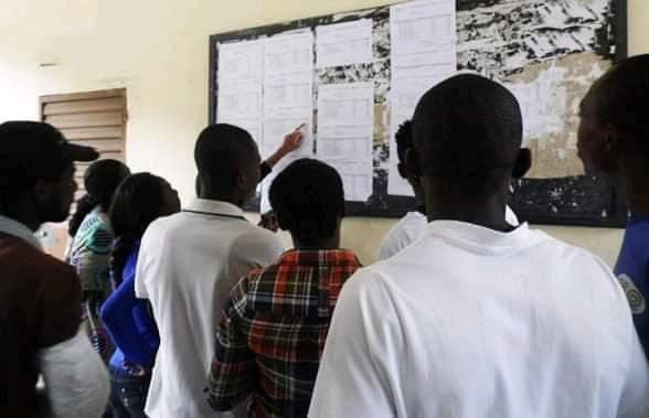 Students looking at a notice board